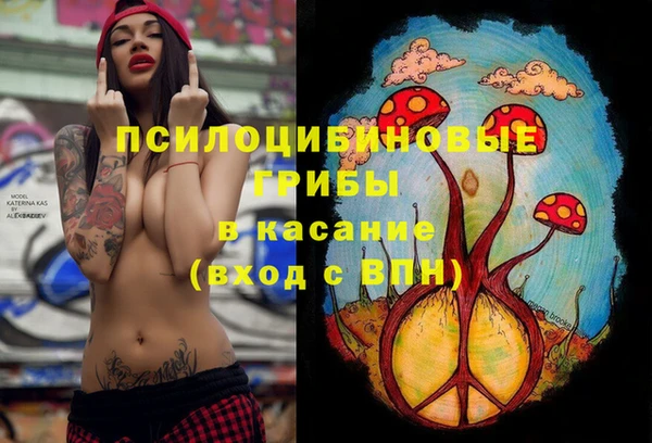 каннабис Богородицк