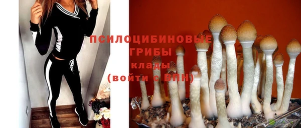 каннабис Богородицк