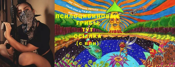 метамфетамин Богданович