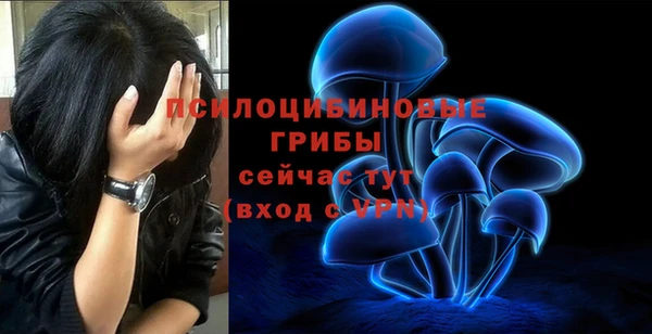 каннабис Богородицк