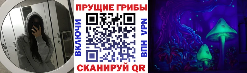 Купить  Сальск  Галлюциногенные грибы мухоморы 