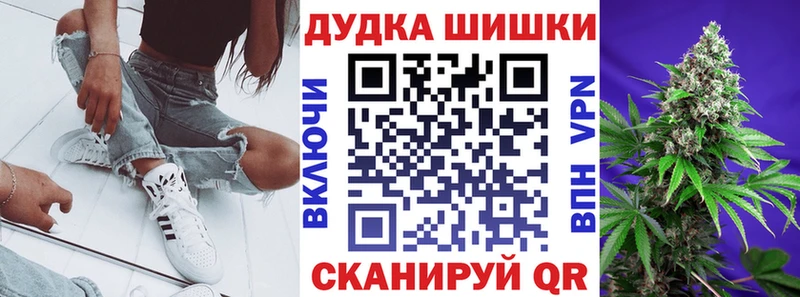 Купить где  Сальск  МАРИХУАНА ГИДРОПОН 